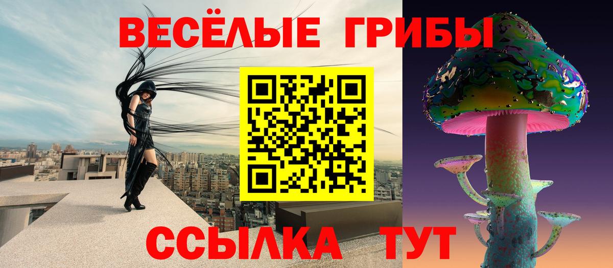 Псилоцибиновые грибы прущие грибы Киселёвск