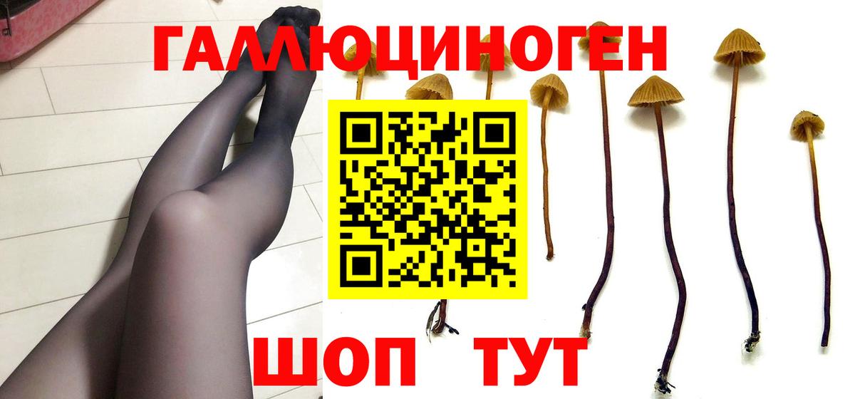 Псилоцибиновые грибы Cubensis  Галлюциногенные грибы MAGIC MUSHROOMS  Вход с VPN  Киселёвск 